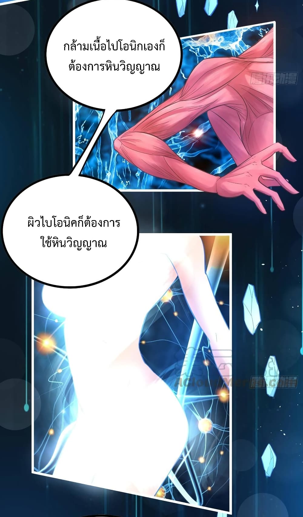 อ่านมังงะ การ์ตูน